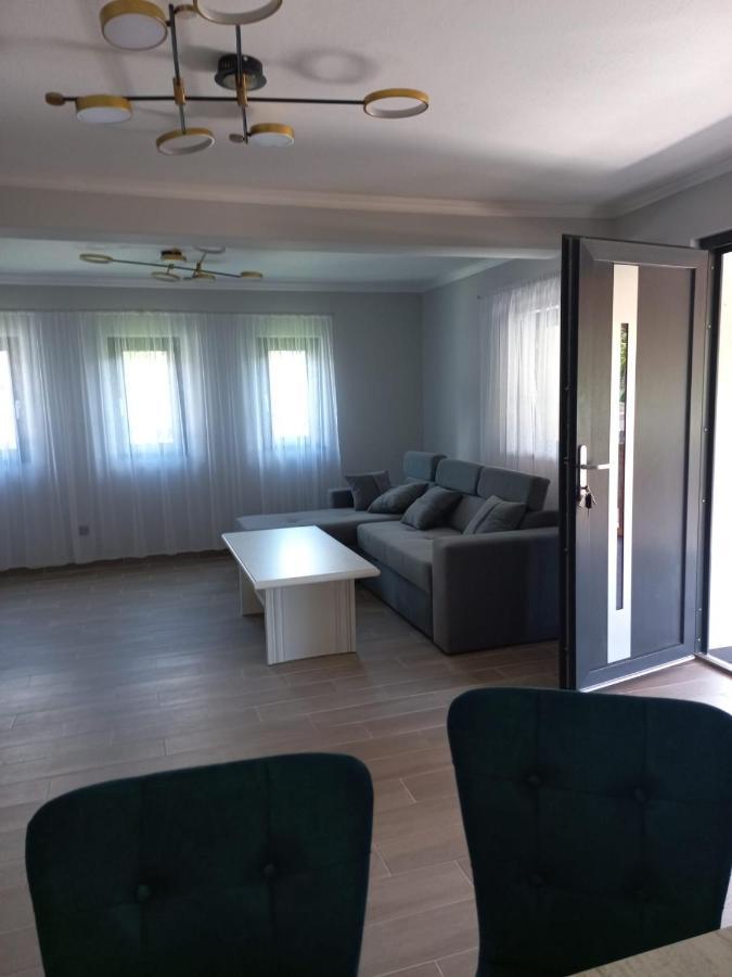 Casa Edy Villa Felsővisó Kültér fotó
